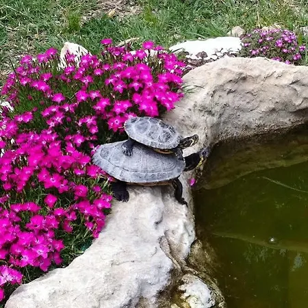 Gospodarstwo wiejskie La Corte Dei Samidagi Alessandria